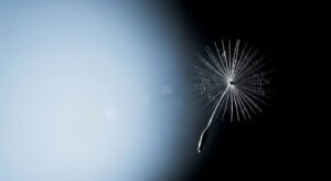 2025년 노인장기요양보험 본인부담금 완벽 가이드