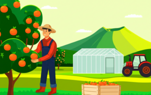 2026 제주 청년농업인 창업 인큐베이팅 지원사업 신청방법 총정리 (영농정착금+기술교육+멘토링, 마감 3/17)